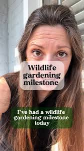 I feel a series coming along #therewasabirdthereiswear #wildoz  #urbanecology #noticingnature #urbanbiodiversity #wildlifegarden