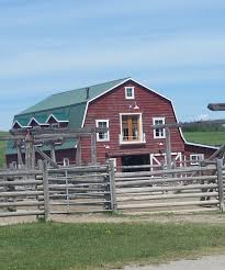 Heartland ranch's homes start in the $190s and range from 1,553 square feet to 2,309 square feet. Real Shaun Johnston A Twitter Blue Sky Shining On The Heartland Ranch Filming Of Season 11 Progresses Teamsj Grandpajack Hlinprod