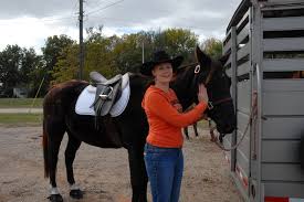 Best Mobile Veterinary Practice