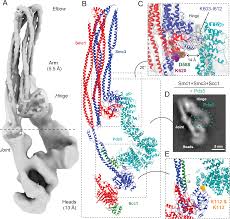 MRC Laboratory of Molecular Biology