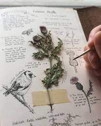 Beautiful Nature Inspired Bullet Journal Sketchbook Journaling Sketch Book Book Of Shadows