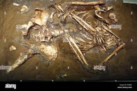 Neanderthal Man High Resolution Stock Photography and Images - Alamy