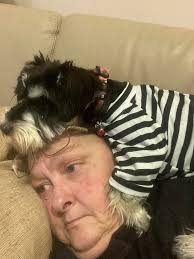 This is a Glickenhaus. Yep, I have no idea either.