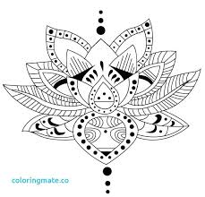Pin Su Coloring Pages
