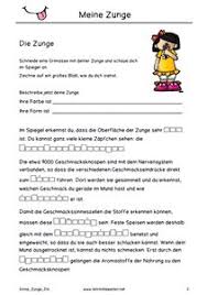 Alle Hefte Meine Funf Sinne Funf Sinne Kindergarten 5 Sinne Kreativer Unterricht