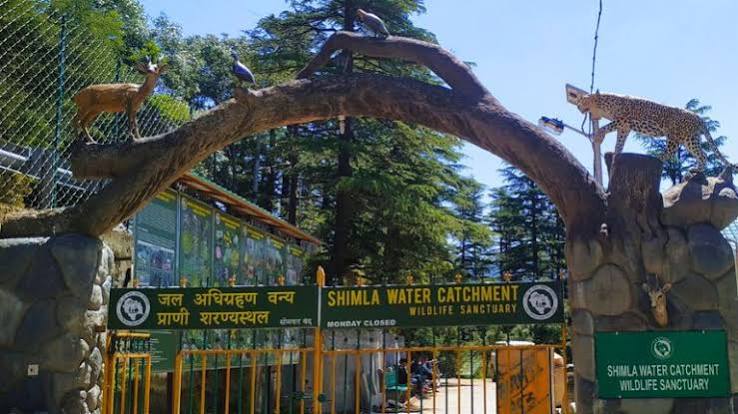 Shimla Water Catchment Wildlife Sanctuary- 2024 Latest Updates