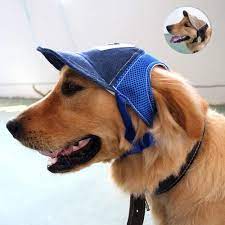 Pin On Dogs Apparel And Accessories