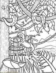Adults and big kids would love coloring. Rainforest Snake And Monkey Coloring Page Download Print Online Coloring Pages For Free Monkey Coloring Pages Online Coloring Pages Jungle Coloring Pages
