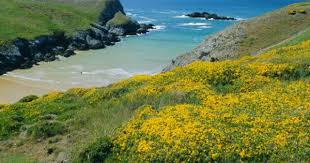Cote De Port Kerledan Belle Ile En Mer Breton Islands Morbihan Brittany France Photographic Print J P De Manne Art Com Island France Scenery