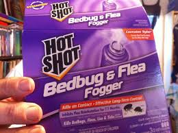How To Bomb For Bedbugs Fleas Lice Ticks Live Demonstration With Foggers Bed Bugs Fleas Flea Bomb