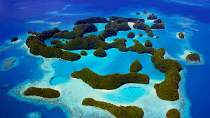 We hope you enjoy our growing collection of hd images to use as a background or home screen for your. Wallpaper Palau Philippines Ocean Islands 5k Travel Wallpaper Download High Resolution 4k Wallpaper