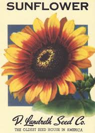 Heirloom Flower Seed Packet Note Cards Flower Seeds Packets Vintage Seed Packets Heirlooms Flowers