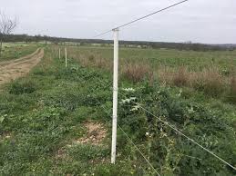 Often, electric fences can take a great deal of time to install, including placing the wires and burying them underground or installing them above ground. Pasturepro An Ideal Post For Permanent Electric Fences The Pastoralist