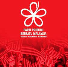 Parti pribumi bersatu malaysia….ppbm….sounds like a glc….or…please please bet on mahathir? Parti Pribumi Bersatu Malaysia Larut Perak Home Facebook