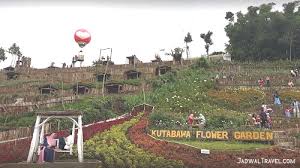 Penting mengetahui nama bunga / tumbuhan maupun hewan untuk menghindari kesalahan. Harga Tiket Masuk Taman Bunga Kutabawa Purbalingga Jadwaltravel Com