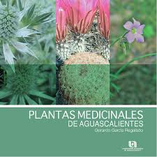 Plantas que curan y sanan la diabetes. Plantas Medicinales Aguascalientes By Universidad Autonoma De Aguascalientes Editorial Issuu