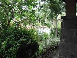 Check spelling or type a new query. Legian Beach Bungalow Legian What To Know Before You Bring Your Family