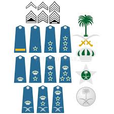Air Force Insignia Saudi Arabia Stock Vector Illustration