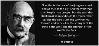 —used to describe a situation in which people do whatever they want to or whatever is necessary to survive or succeed an industry governed by the law of the jungle. Rudyard Kipling Quote Now This Is The Law Of The Jungle As