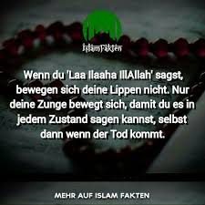 Əziz oxucu, hər bir ümmətin tarixi olduğu kimi, islam ümmətinin də möhtəşəm, şərəfli tarixi vardır. Pin Von Ali Serdar Auf Islam Ø§Ø³Ù„Ø§Ù… Freundschaft Zitate Religiose Zitate Zitate