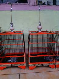 Gambar sangkar burung terbaru, download gambar sangkar burung, sketsa gambar sangkar burung, gambar sangkar burung dari burung hias gambar sangkar burung gambar sangkar burung kaca mata pleci kenari murai batu prenjak glatik perkutut kacer kolibri parkit ciblek atau. Macam Macam Model Kandang Pleci Lengkap Binatang Peliharaan