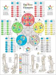 39 Comprehensive Acupuncture Chart Pdf