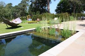 Swimming Ponds And Natural Swimming Pools Natural Swimming Pools Swimming Pond Swimming Pool Pond
