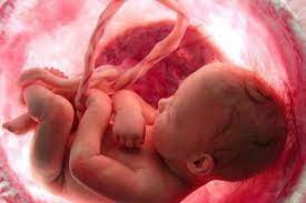 Tidak memotong perkataan gurunya atau mendahuluinya dalam berbicara, dalam pembicaraan apapun. 10 Aktivitas Bayi Di Dalam Rahim Ibunya Bisa Bernapas Bahkan Pipis