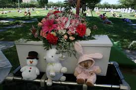 Jeanne ash whatever(+ grave markers). The Perfect Funeral For My Baby Clever Housewife