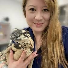 Emergency Vet Care in Fort Lauderdale, FL