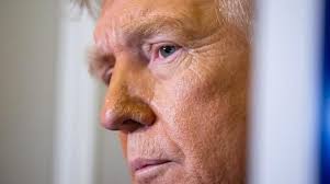 Stock Market in Freefall After Trump Admits Recession May Be Imminent