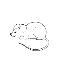 Rat Coloring Page Rat Coloring Page Coloring Page Mouse Rat Coloring Animal Coloring Pages Coloring Pages For Kids Wolverine Animal
