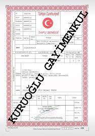 Korktum.iskan ruhsatı alınmış bir daire.banka kredisinde de sorun çıkmadı.ne yapmamı. Tapu Nedir Ne Anlama Gelir Kuruoglu Emlak Gayrimenkul