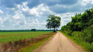 Download country life country in hd quality to your desktop for free find more wallpaper desktop hd similiar to country life country on flip wallpapers. Country Life Photography Home Facebook