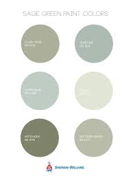 Sage Wall Paint Sage Interior Decor Sage Living Room Sage Home Decor Sage Sage Green Paint Color Sage Green Paint Sage Green Walls