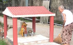 Tục thờ Thông Thiên