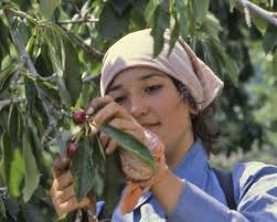 A SUSTAINABLE BOUNTY: