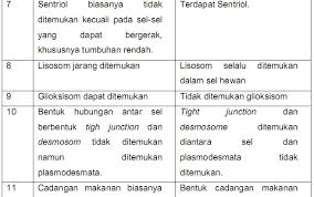 Jika dilihat plastidanya, sel tumbuhan memiliki plastida seperti kloroplas, kromoplas dan leukoplas, sedangkan sel hewan tidak memiliki. Perbedaan Sel Tumbuhan Dan Sel Hewan Blog Pak Pandani