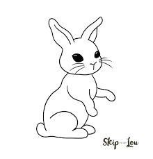 We will see all of these types of organisms in the playa food web. How To Draw A Bunny Skip To My Lou