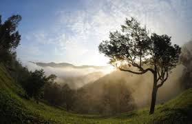 What are some of the property amenities at tanah aina farrah soraya resort? Tanah Aina Farrah Soraya Eco Tourism Resort Raub Pahang Gokelah