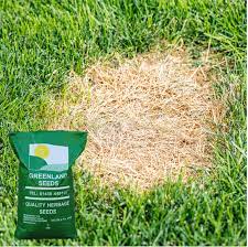 A lovely and lush lawn can do much more than just beautify your yard. Lawns Landscaping Patch Repair Grass Seed Greenland Seeds