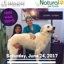 Find only natural pet's holistic and natural pet supplies for dogs & cats nationwide! Natural Pet Food Thebest4urpet Twitter