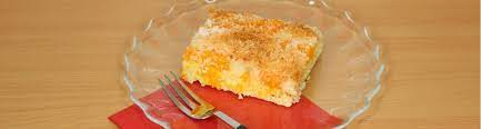 Homerezeptekokos mandarinen kuchen kokos mandarinen kuchen zutaten: Kokos Mandarinen Kuchen Sweetlifesunshine
