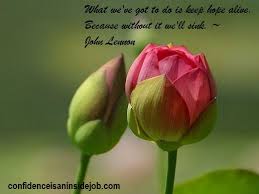 Reality Leaves A Lot To The Imagination Flowers Flower Bud Happy Moments