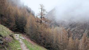 关于表彰2010—2011学年度学生工作先进集体、先进个人及优秀学生个人的通报-学生工作处（团委）-山东商务职业学院