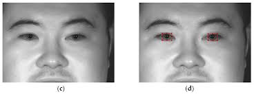 Robust Iris-Localization Algorithm in Non-Cooperative Environments Based