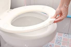 Homerises prepare you different kinds of toilet seats, we have colored toilet seats, wooden toilet seats, acrylic toilet seat, resin toilet seat, padded toilet seat and etc, the bathroom toilet seat would provide convenience for washing. Cropped Image Of Young Woman Holding Toilet Seat Cover By A Stock Photo Picture And Royalty Free Image Image 145051937