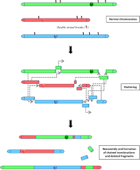Chromoanagenesis Cataclysms Behind Complex Chromosomal Rearrangements Springerlink