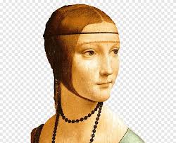 Intense colors, sharp lines, glossy finish. Ermine Png Images Pngegg