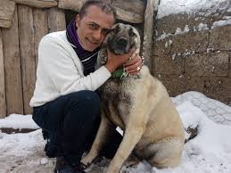 Haluk Ozkan Kangallarla Ilgili Belgesel Hazirliyor